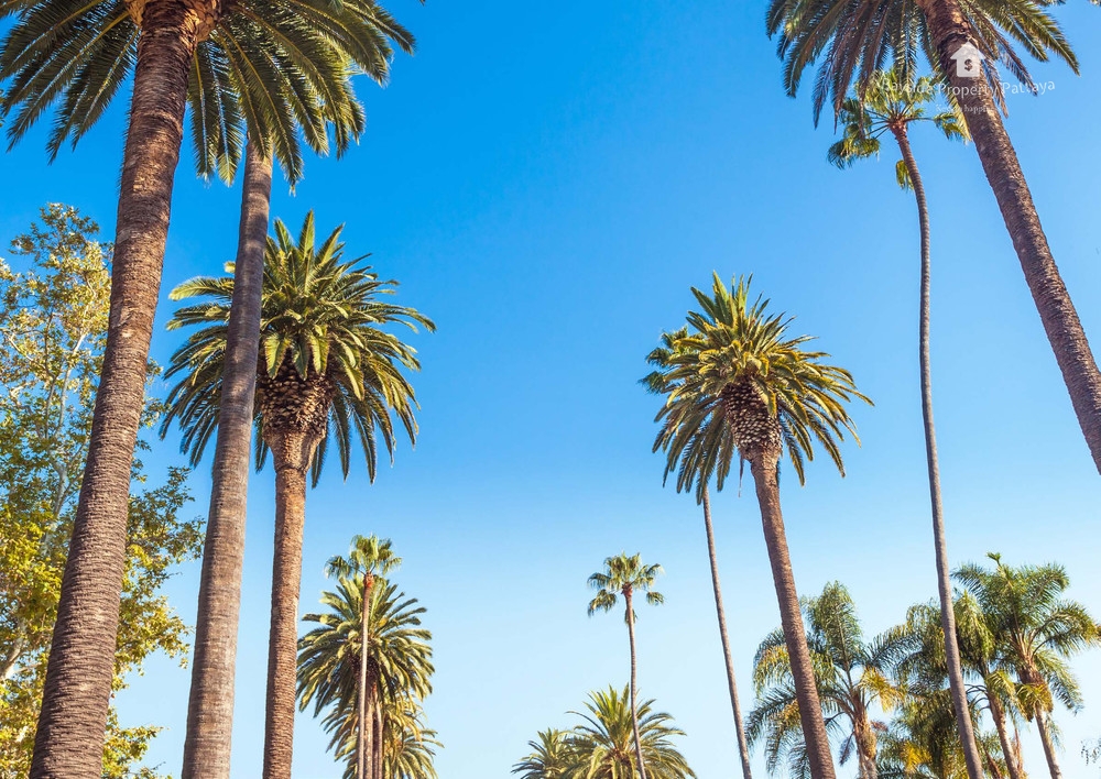 The Riviera California 4
