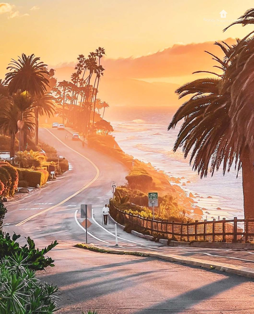 The Riviera California 16