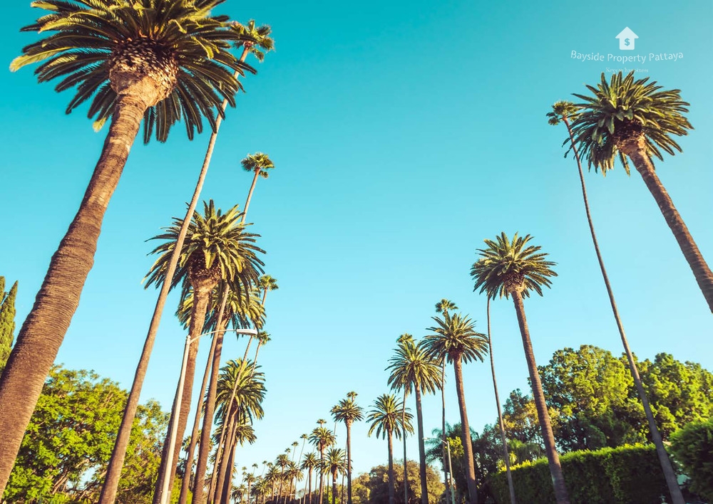 The Riviera Malibu Residences 19