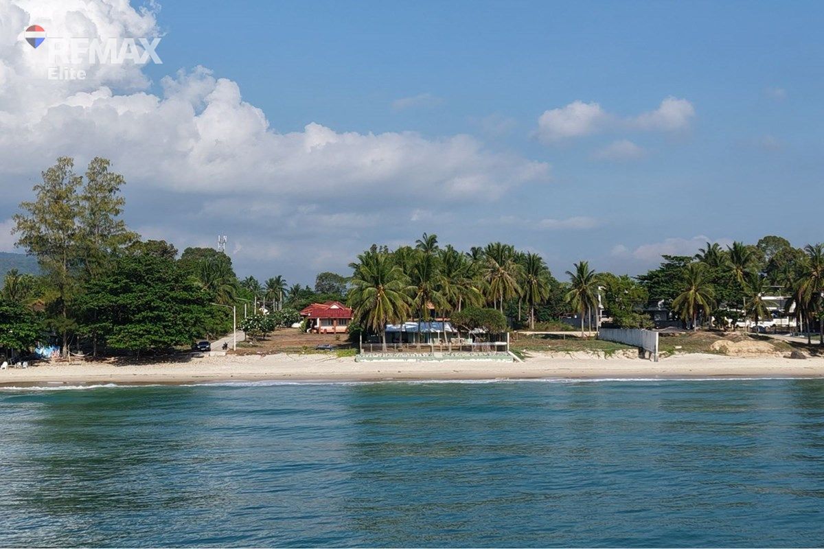  Image 4