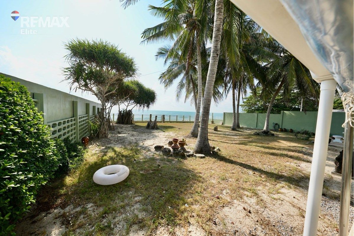  Image 6