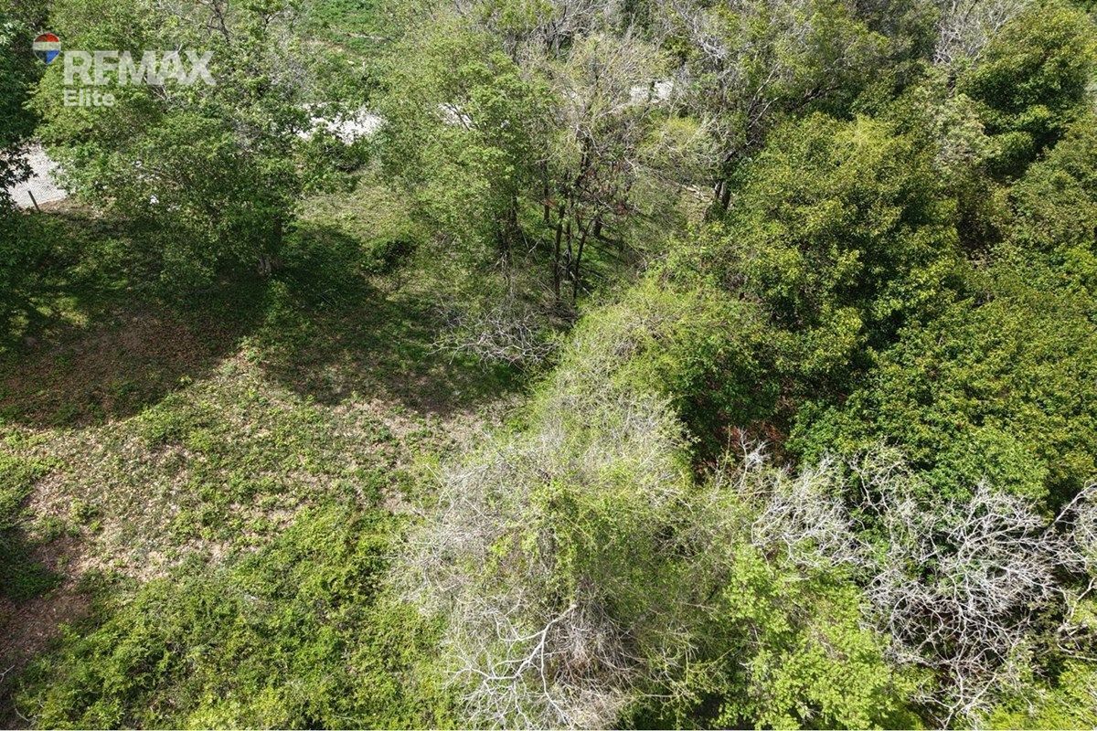 Image 15