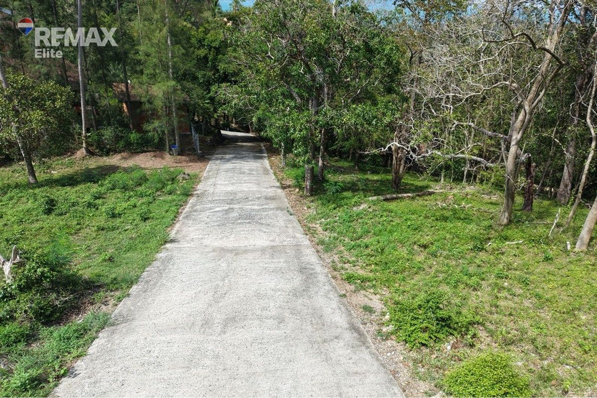 Image 6