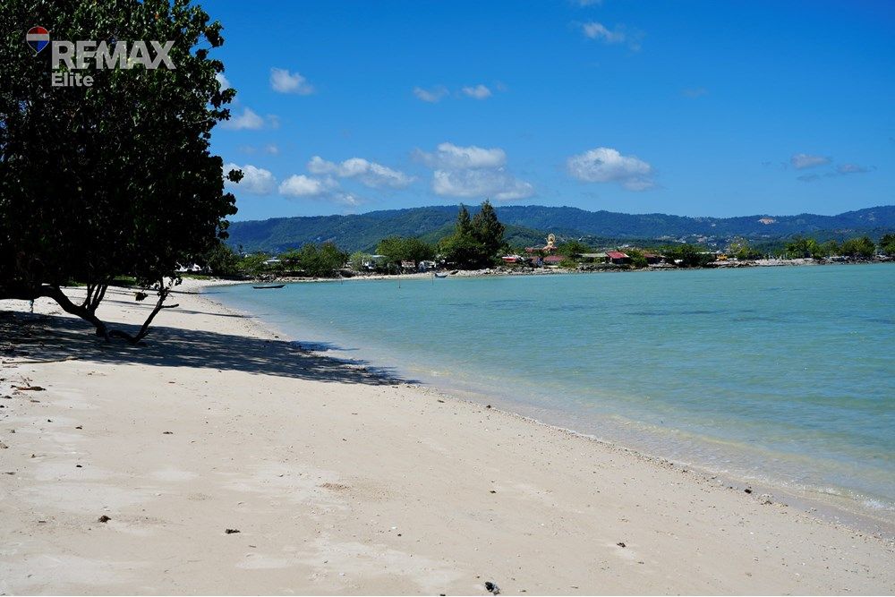  Image 10