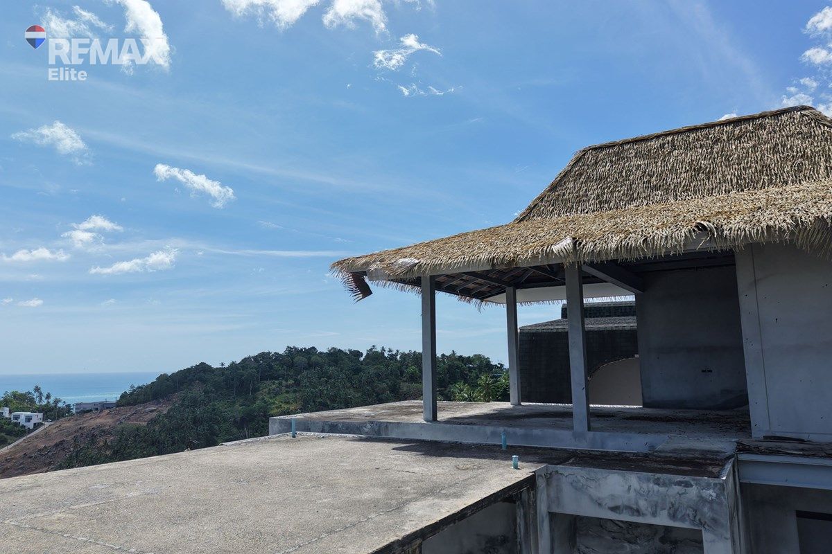 Image 14