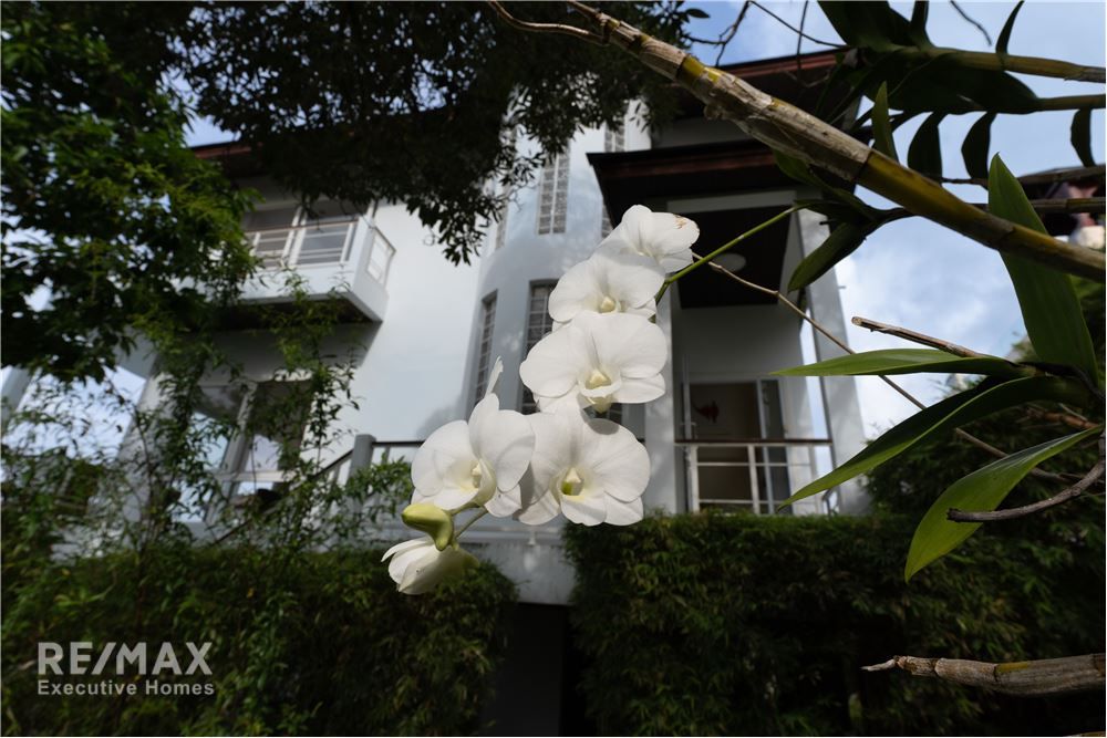 苏梅岛波普海景别墅420平米5室5卫出售 29