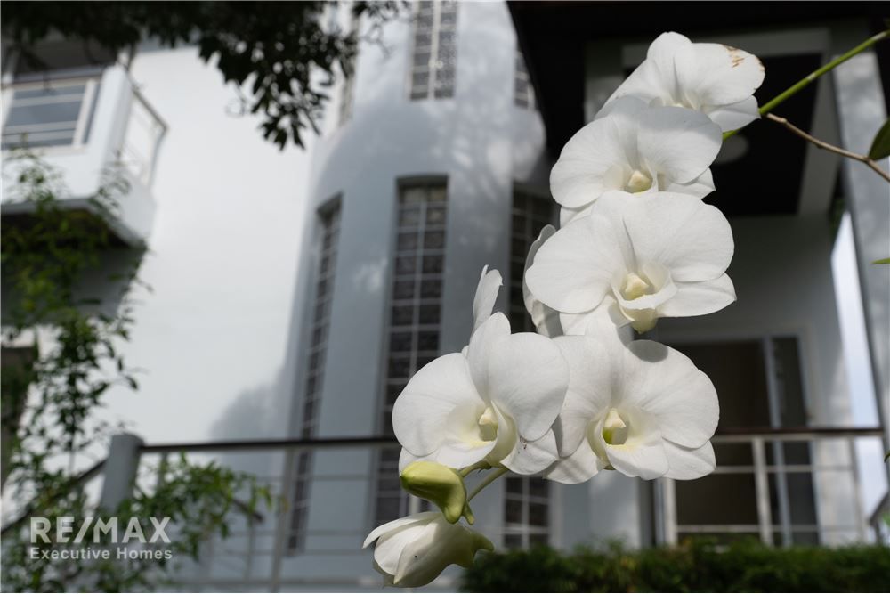 苏梅岛波普海景别墅420平米5室5卫出售 30