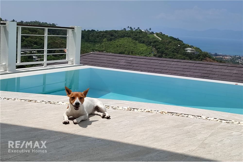 苏梅岛波普海景别墅420平米5室5卫出售 6