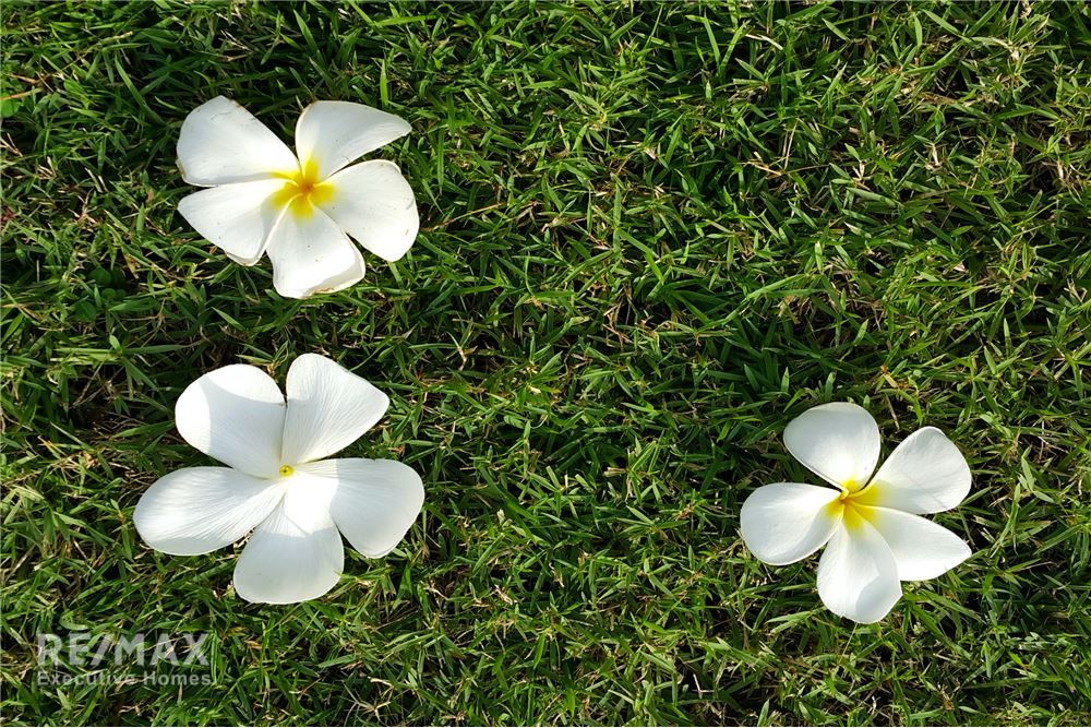 Luxury Detached Home in Serene Cha-Am, Phetchaburi 8