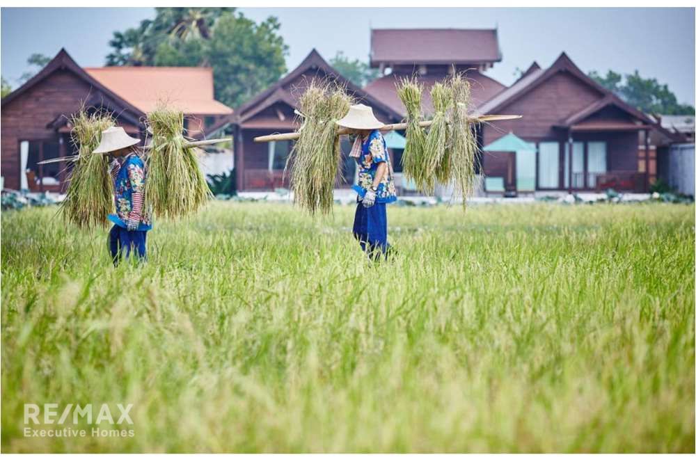 苏梅岛眉南酒店出售 9
