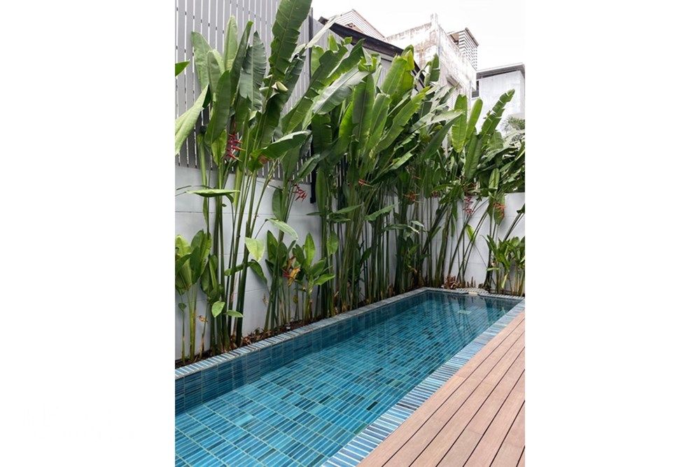 素坤逸1到71巷别墅430平方米4室5卫出租 6