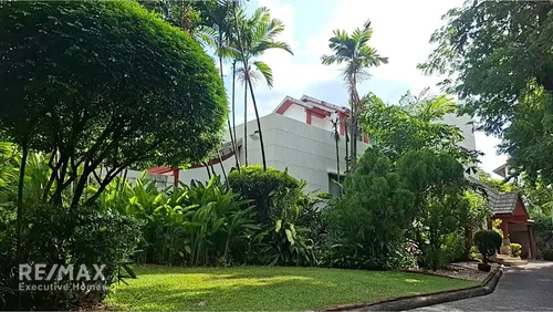 detached-house-with-private-pool-for-rent-near-bangkok-hospital-160k-pets-allowed-920071001-16557