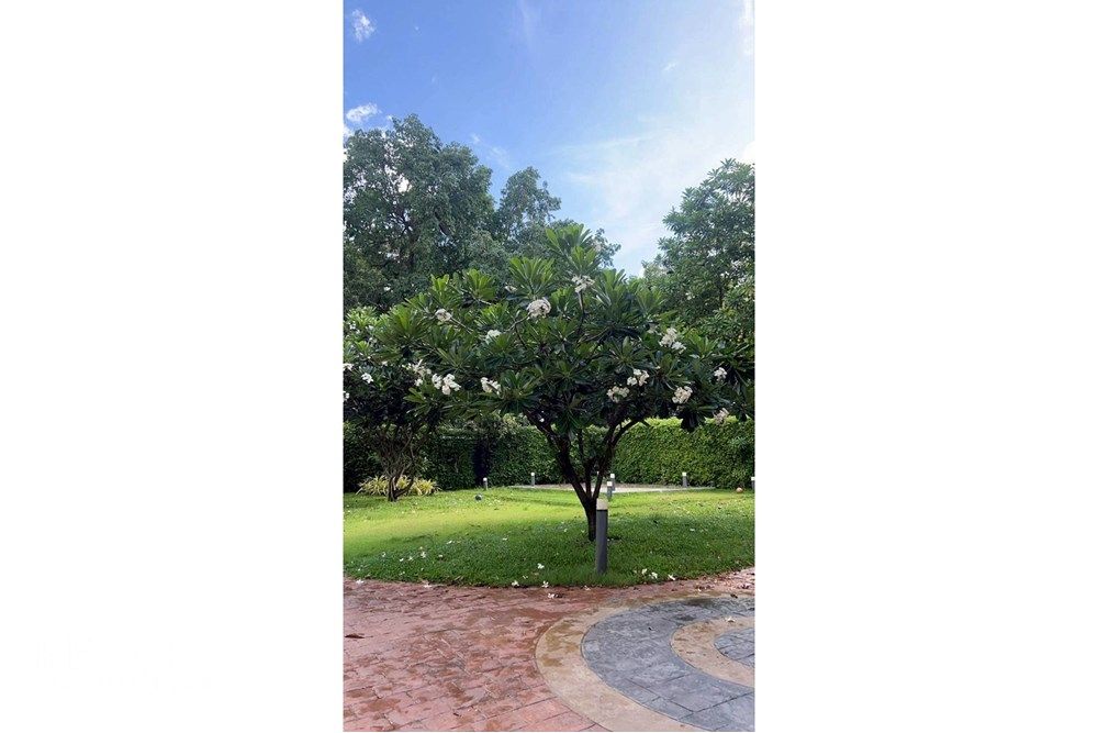 Colonial-Style Detached Home with Garden for Rent in Asoke 2
