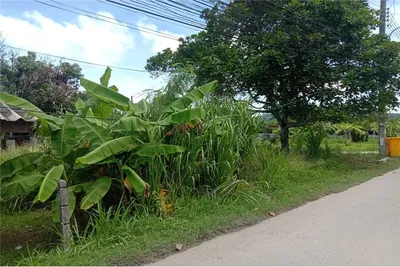 prime-land-for-sale-at-rawai-soi-samakee-2-91-sqw-920081001-1016