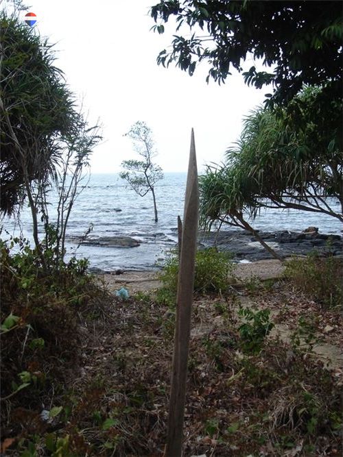 土地17000平方米出售 26