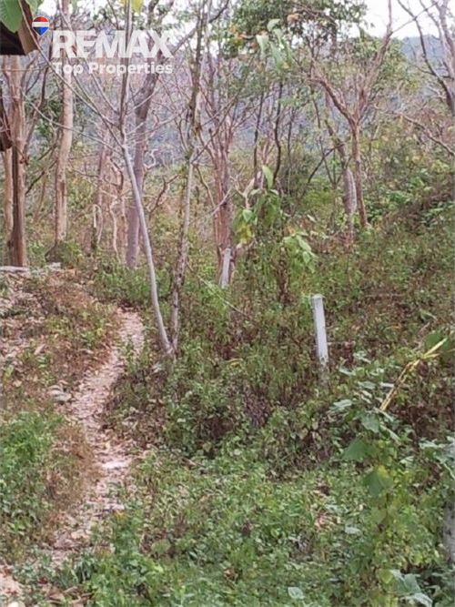 土地17000平方米出售 27