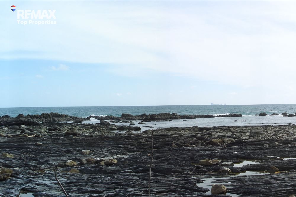 土地17000平方米出售 29