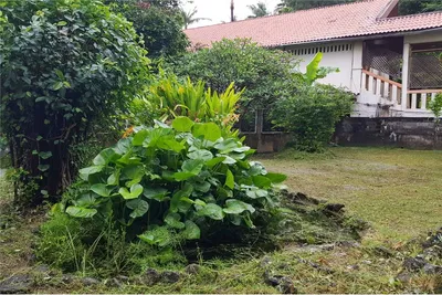 exceptional-land-opportunity-prime-plot-500-meters-from-patong-beach-920081001-1144