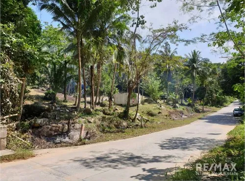 big-plot-of-mountain-view-land-in-mae-nam-koh-samui-re001-1876