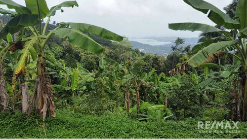 sea-view-land-for-sale-developer-opportunity-in-bophut-re001-1971