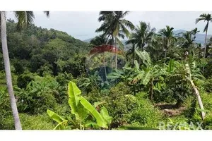 sea-view-land-for-sale-developer-opportunity-in-bophut-920121001-1990