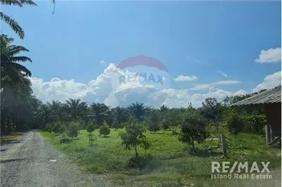 land-for-sale-in-sichon-nakon-si-920121001-2453