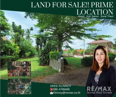 vacant-land-for-sale-prime-location-with-great-potential-ak038-119er