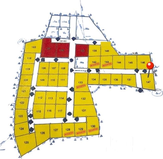  Image 4