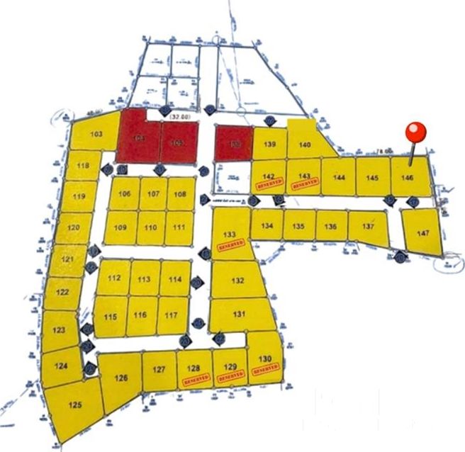  Image 4