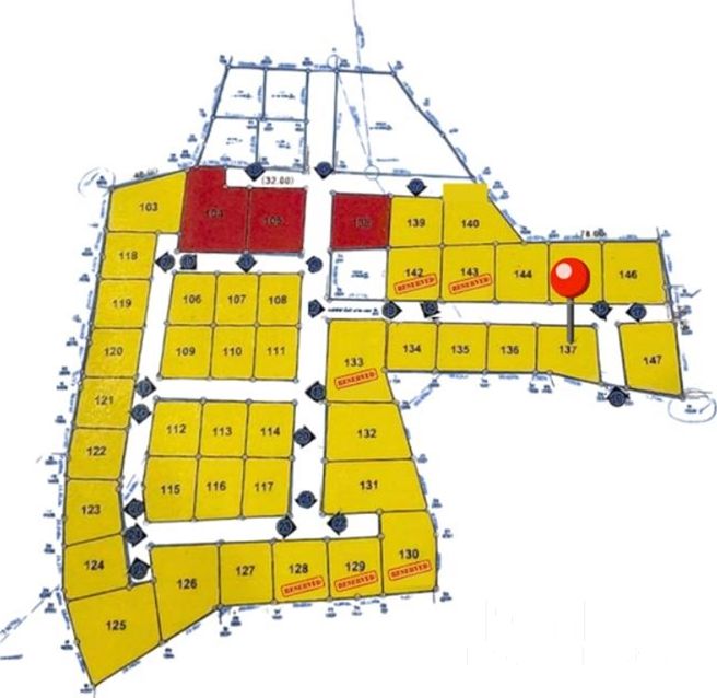  Image 4