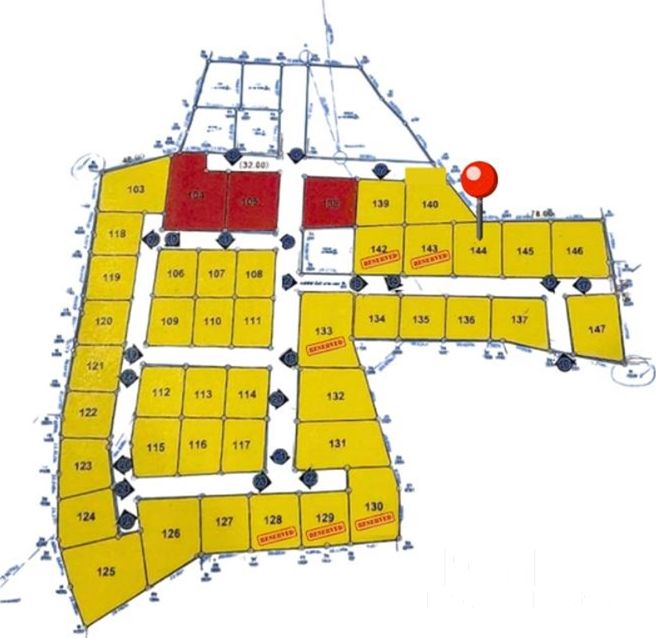  Image 4