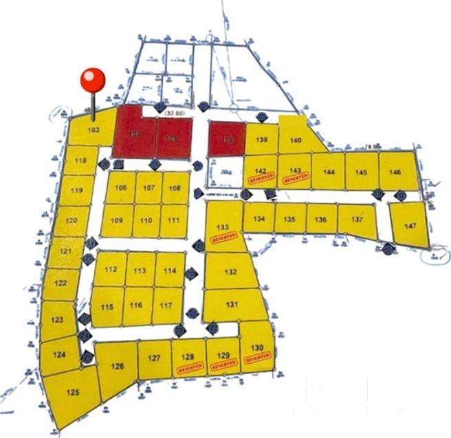  Image 4