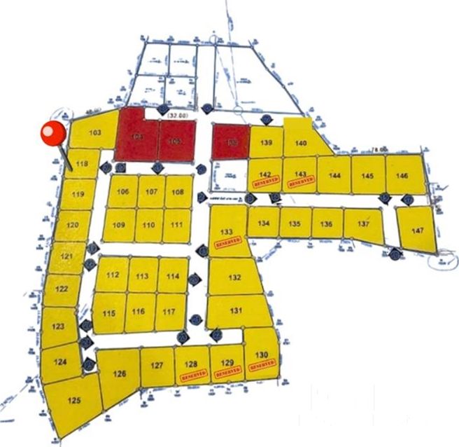  Image 4