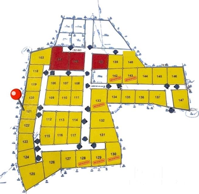  Image 4