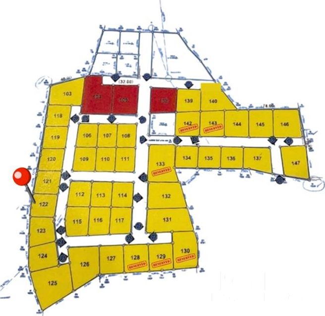  Image 4