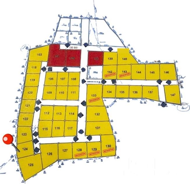  Image 4