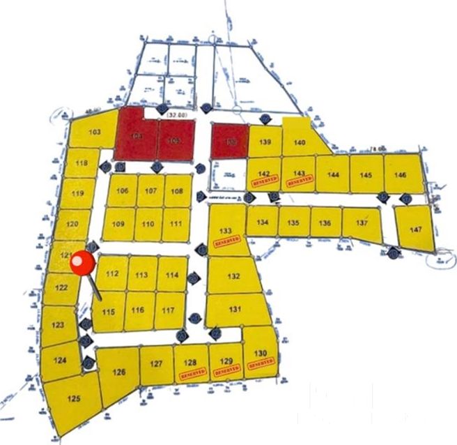  Image 4