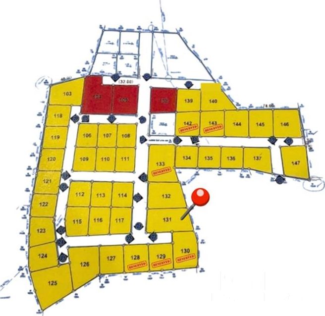  Image 4