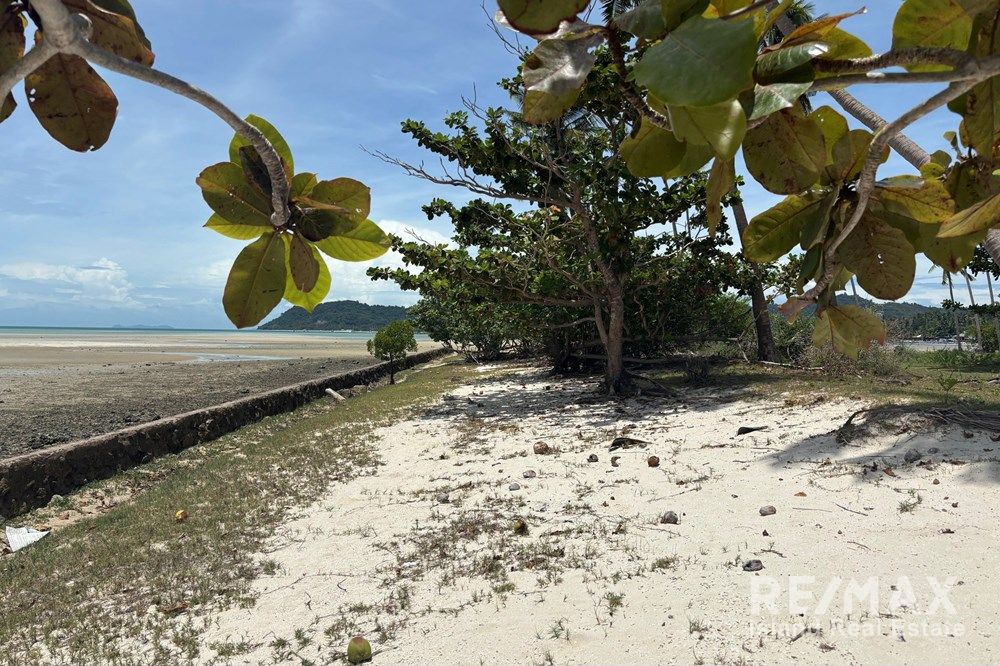 Image 10