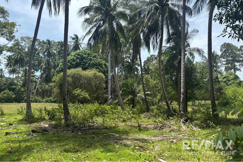  Image 6