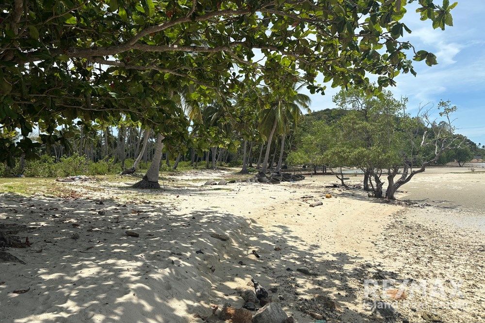  Image 7