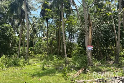 quiet-tranquil-800-sqm-land-for-sale-only-500m-to-the-beach-re001-2911e