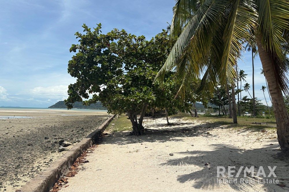  Image 10
