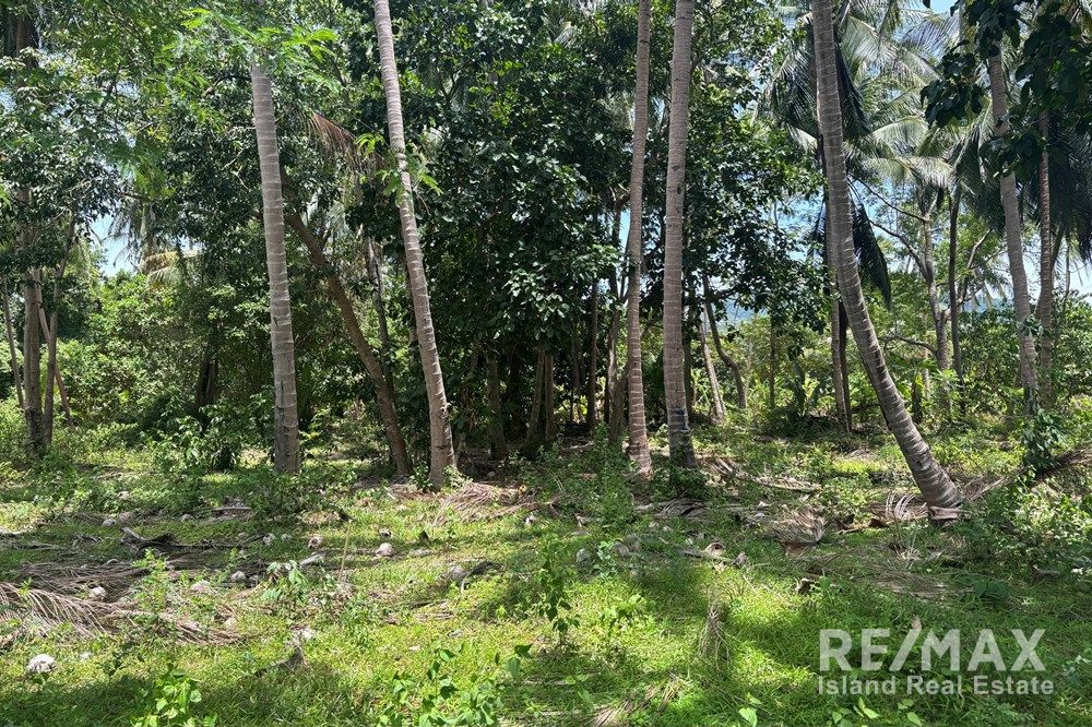 Image 6