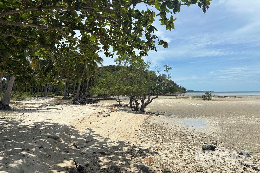 Image 9