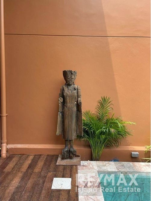  Image 8