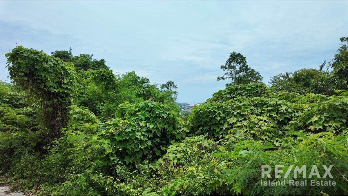  Image 6
