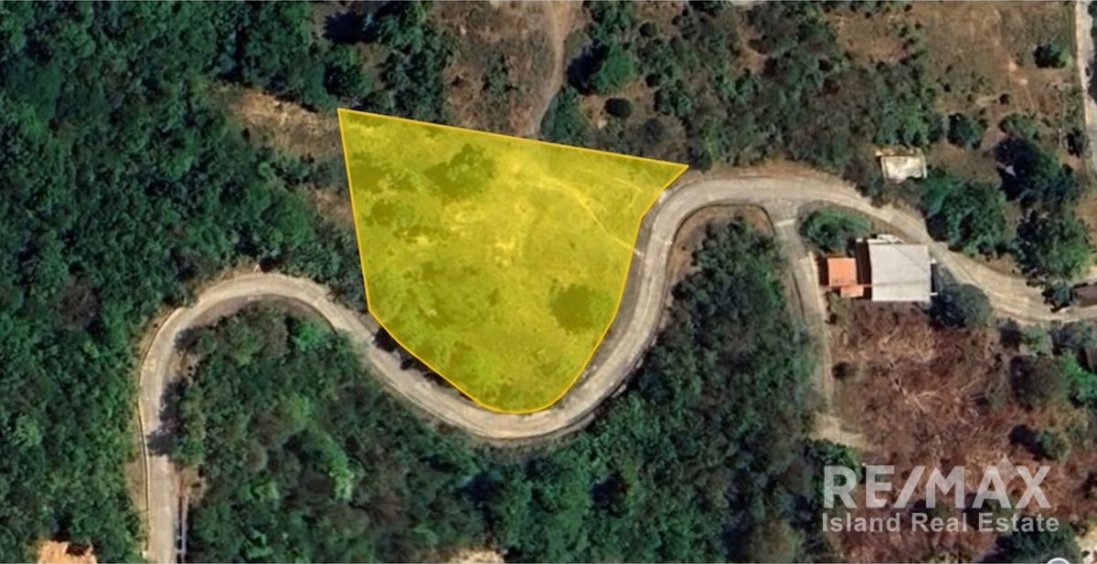  Image 4