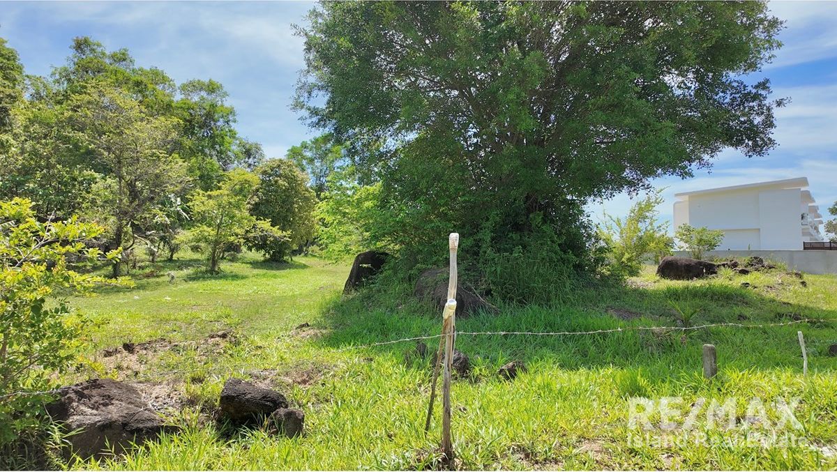 Image 6
