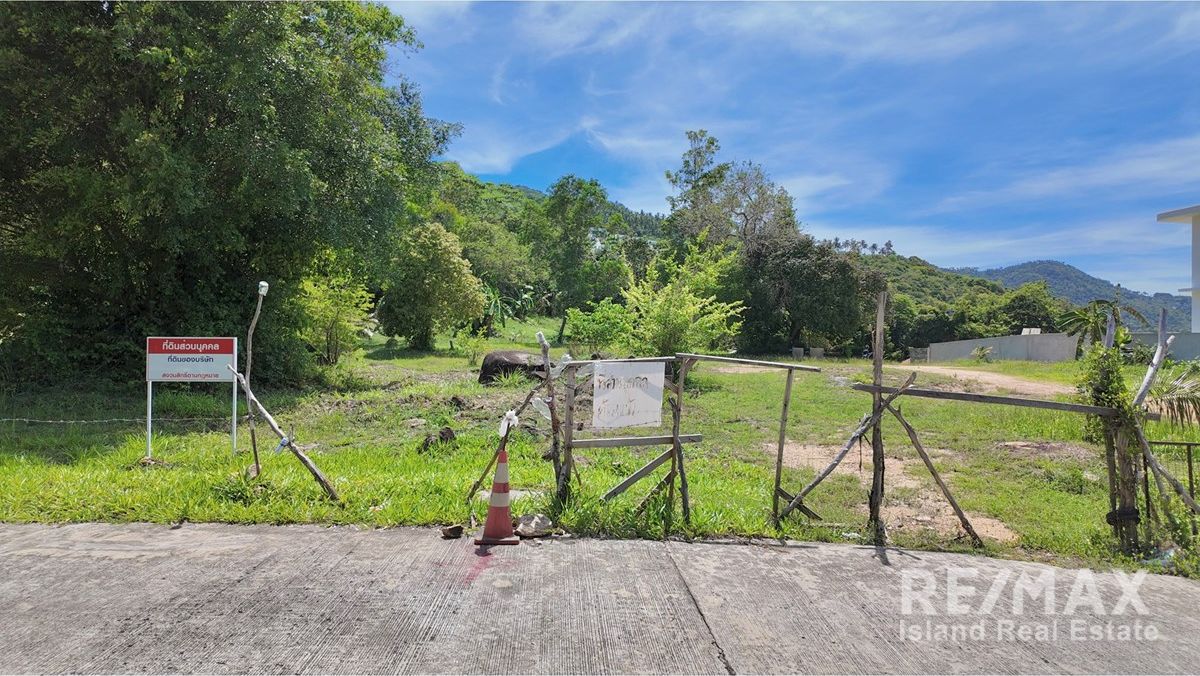  Image 6